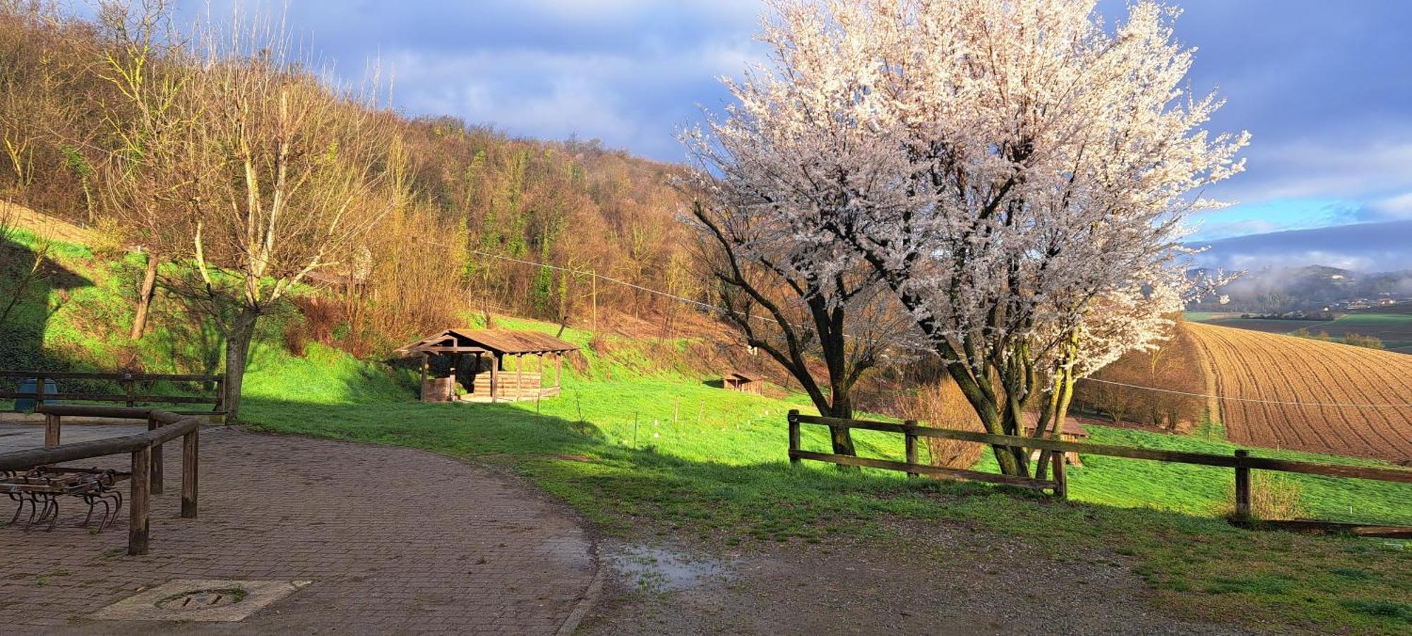 Villa Cascina Fazioli Alfiano Natta Exterior foto