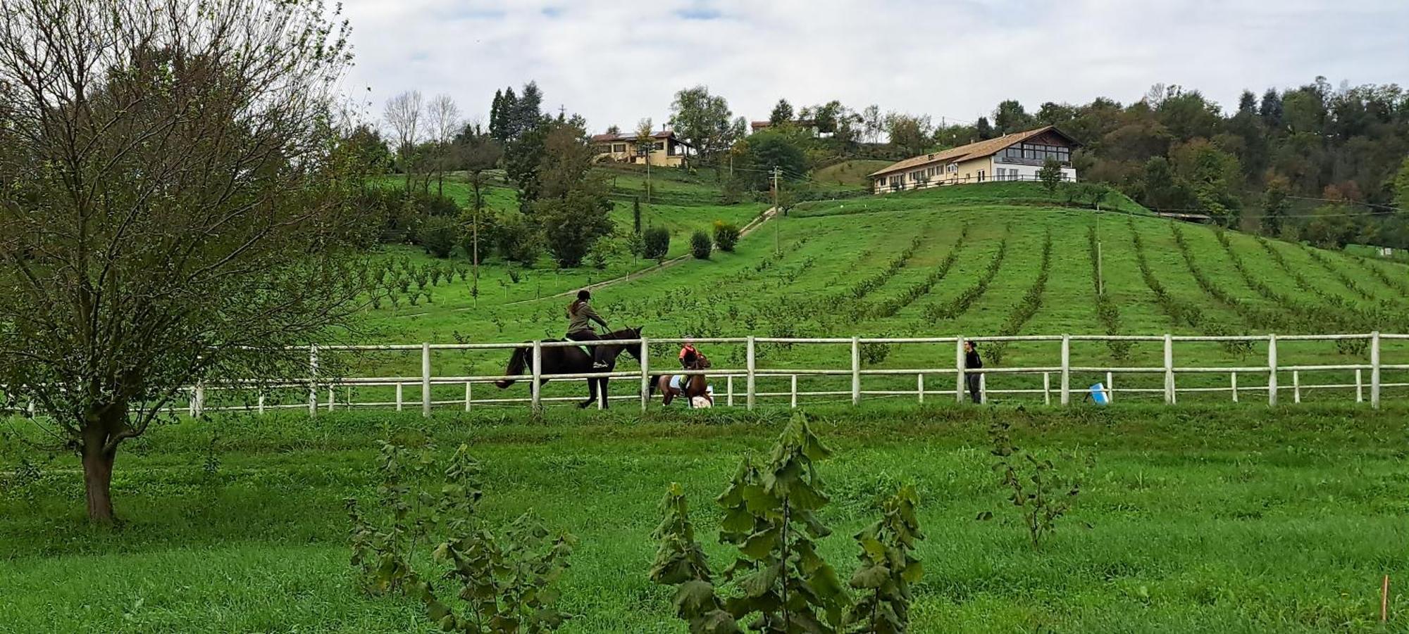 Villa Cascina Fazioli Alfiano Natta Exterior foto